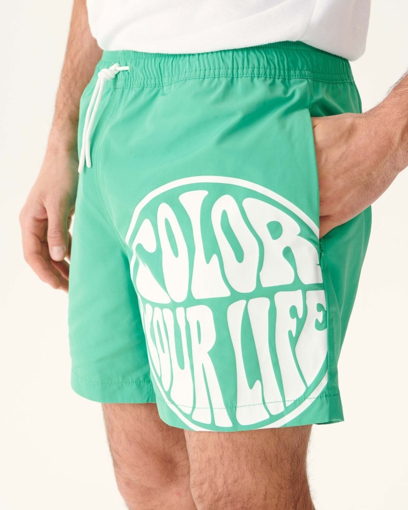 JOTT Biarritz Swim Shorts Herre Grønn Hvite | FXJ-3471